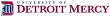 Login Logo
